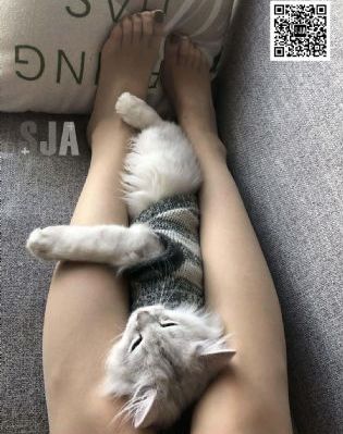 理论片福利理论电影