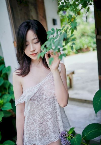 凤归四时歌 电视剧