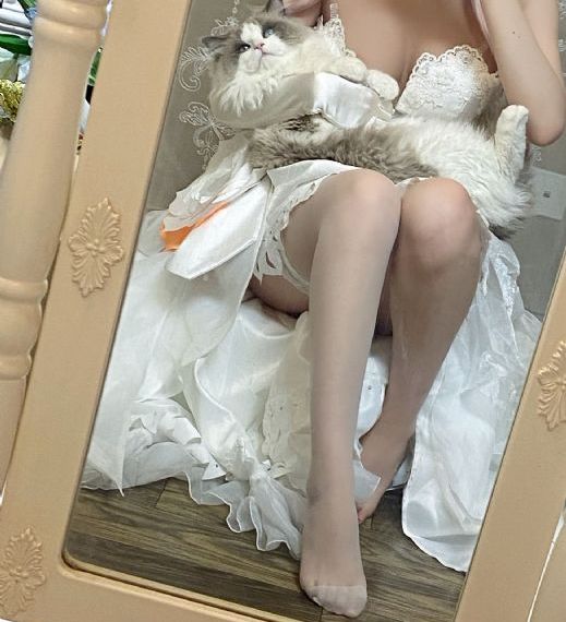 西瓜免费视频