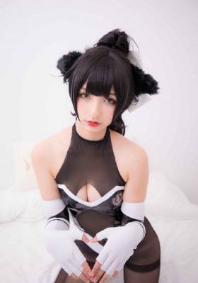全国探花